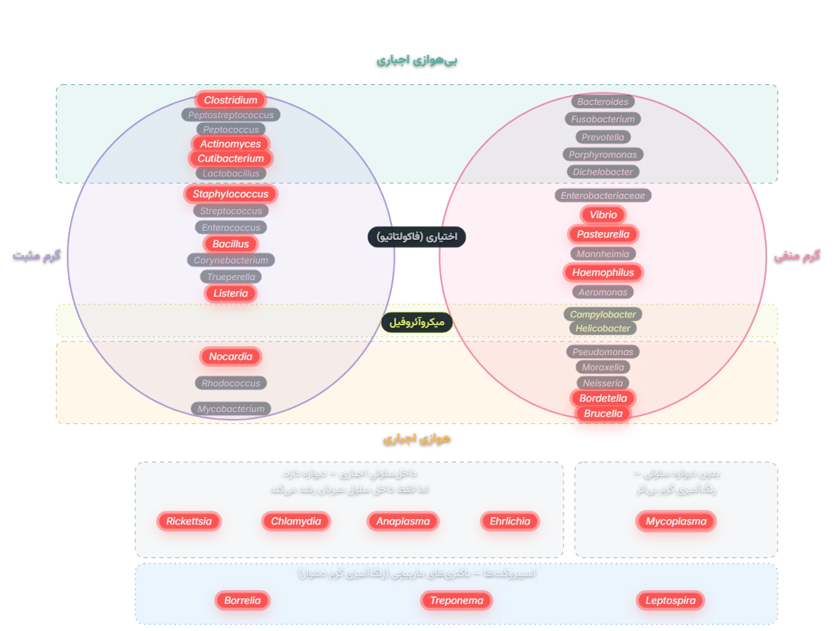 نمودار طیف اثر داکسیسایکلین